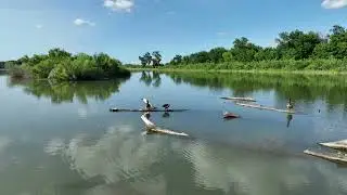 Nutria and duck