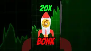 Bonk on Solana: The Meme Coin That Launched Without VC! 