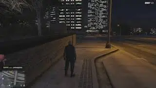 GTA 5 Saiba como habilitar a Mira automática/2020