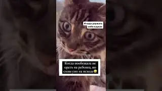 Когда пообещал не орать на ребенка, но силы уже на исходе 😂