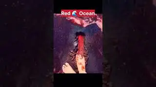 1 M Views | Things human never meant to see 😱😱