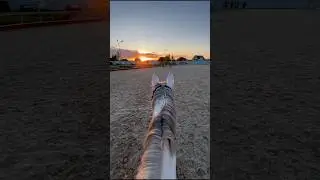 #horseriding