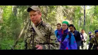 Сохранить уцелевшее
