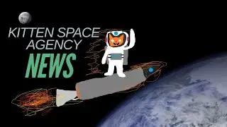 Everything We Know About Kitten Space Agency