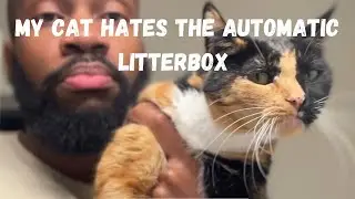 My Cat Hates The Automatic Litterbox