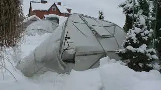 Зимние сюрпризы от  НЕУдачной теплицы.