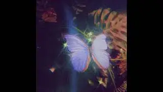 [FREE FOR PROFIT] *GUITAR* Juice WRLD Type Beat 2024 - "one life"