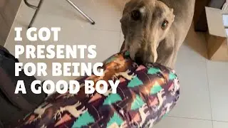 Happy Gifts for Good Boys Day!
