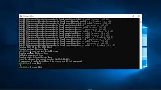 wsl snap - can not communicate with server