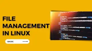 File Management in Linux | 