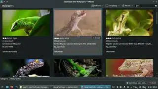 Gecko Linux 2023 - Plasma - for Detail-Oriented Geckos
