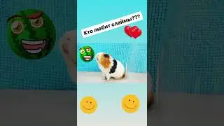 Слаймы! Свинка Бузя делает слаймы!