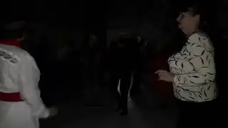 ....когда в зале погас свет танцы продолжились при свете фонариков.  А утки  кря-кря-кря.