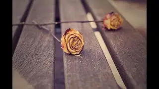 Ey Sevdiğim Benden Ayrı Gezersen - Orhan Ağrıdağ