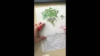 Что убьёт вашу клубнику (серия 4)