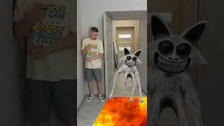 ZOONOMALY Game Over