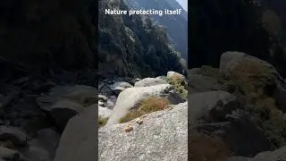 Mountain winds not allowing garbage to go down! #protectnature #environment #cleanindiagreenindia