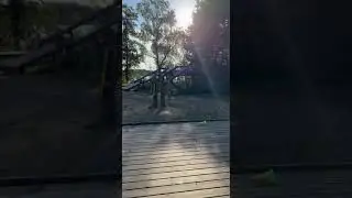 Прогулка в субботу.