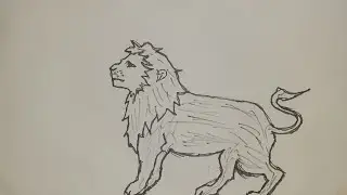 How to make a lion image