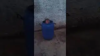 se escondendo 😋