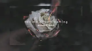 timmies - tell me why i'm waiting (ft. shiloh) (Video Lyrics)