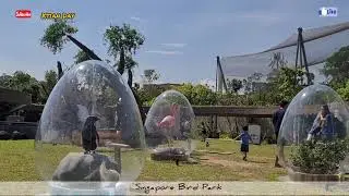 Amazing Bird Paradise In Singapore #travel #singapore #walkingtour
