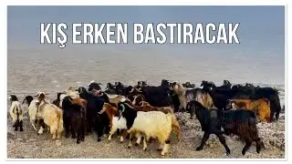 KIŞ ERKEN BASTIRDI