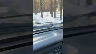 Лес, природа, красота
