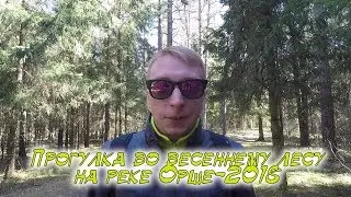 Прогулка во весеннему лесу на реке Орше-2018