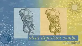 𝘴𝘶𝘱𝘦𝘳 𝘨𝘶𝘵 ☀ ideal digestion + health combo subliminal ☾ listen once ✦ 𝒬𝒮