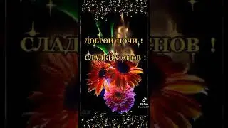 Доброй ночи!!!