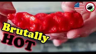 GHOST PEPPER - One of the World's HOTTEST Peppers! - Chili Reviews