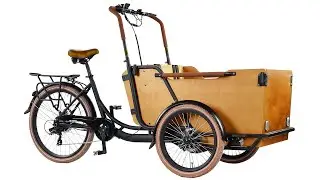 cargo bike electric pedal assist family cargo bike with armrest