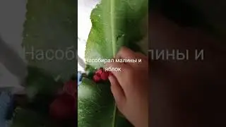 #музыка #гномы #боже #тренд #существа #рыцари #юмор #мем #жиза #прикол