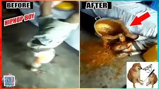 Funny and interesting Tiktok million views, Tiktok hài hước, thú vị triệu view 2022 #187