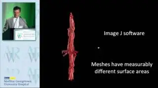 Suture, mesh, and the foreign body response.  AWR 2016