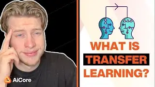 What is Transfer Learning?