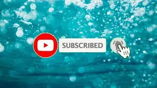 Subscribe button animation|Link in description