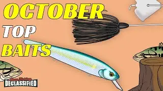 The TOP BAITS For Bass Fishing in October