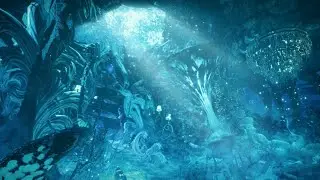 🐬🐚Sea Nymphs Guest House I Immersive Experience