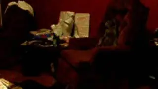 Clara Bugsy catfight