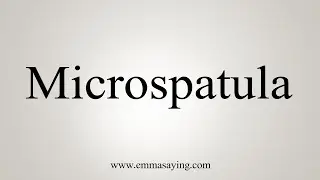How To Say Microspatula