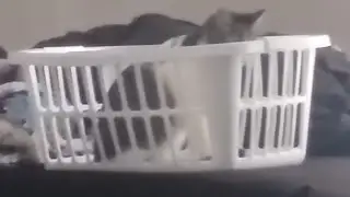 The Night of the Great Escape