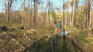 The art of moving electric fences in the woods
