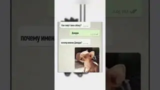 Пишите если рек 