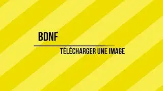 Débuter sur BDNF : Créer des planches, cases et bulles pour sa BD