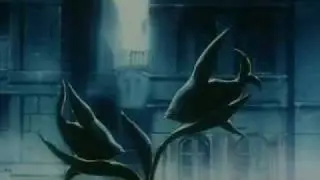Julia AMV