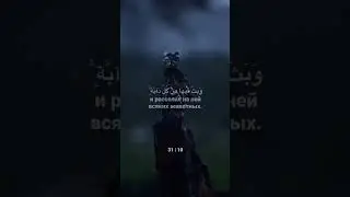 9 июля 2024 г.