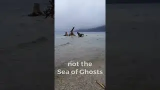 Atterim sea of ghosts #Shorts
