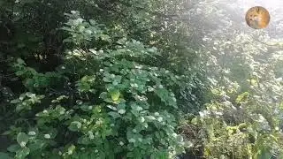 История. Богиня не может быть худой
